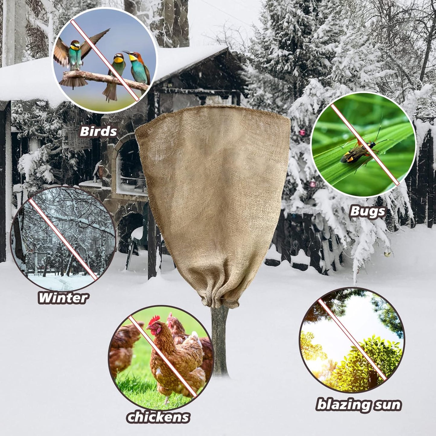 Frost Protector for Plants
