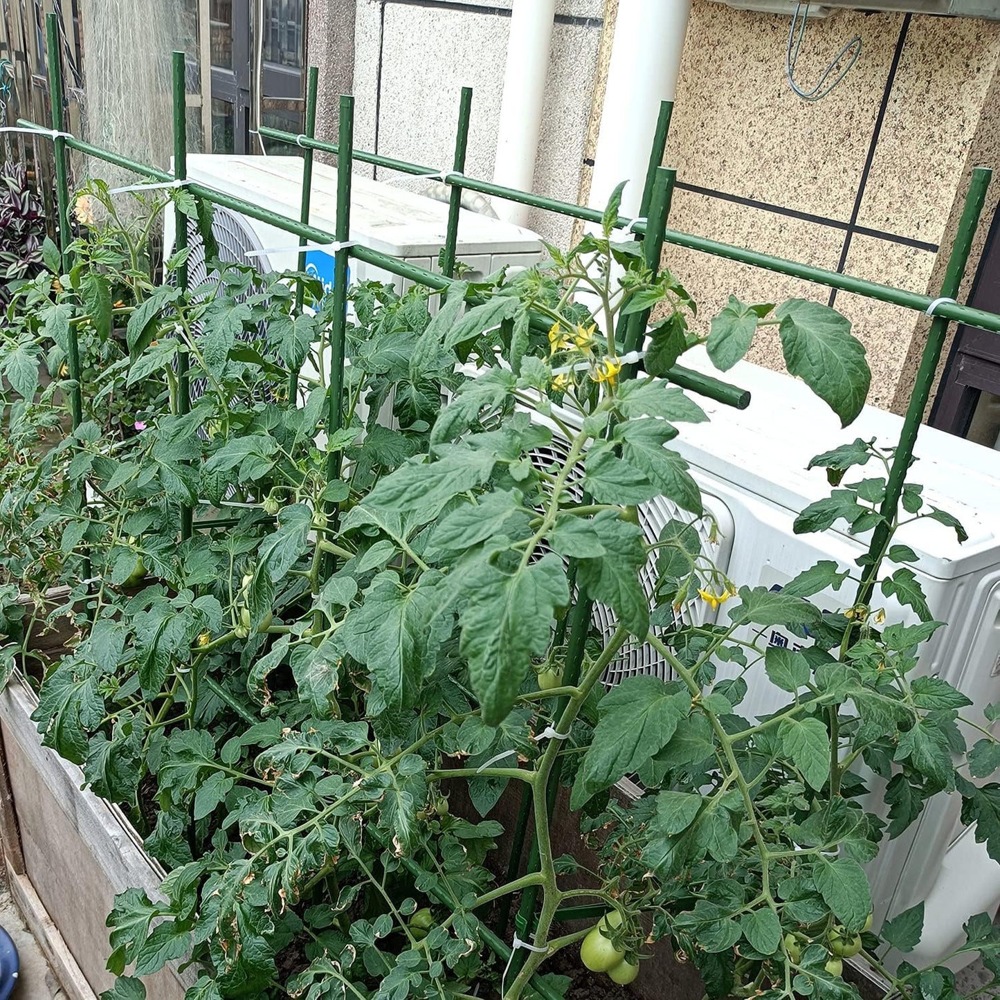 Plant Supports Stakes
