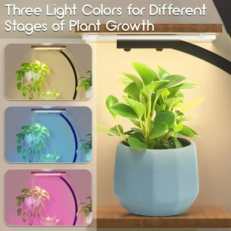 8 Tier Indoor Plant Stand with Grow Lights