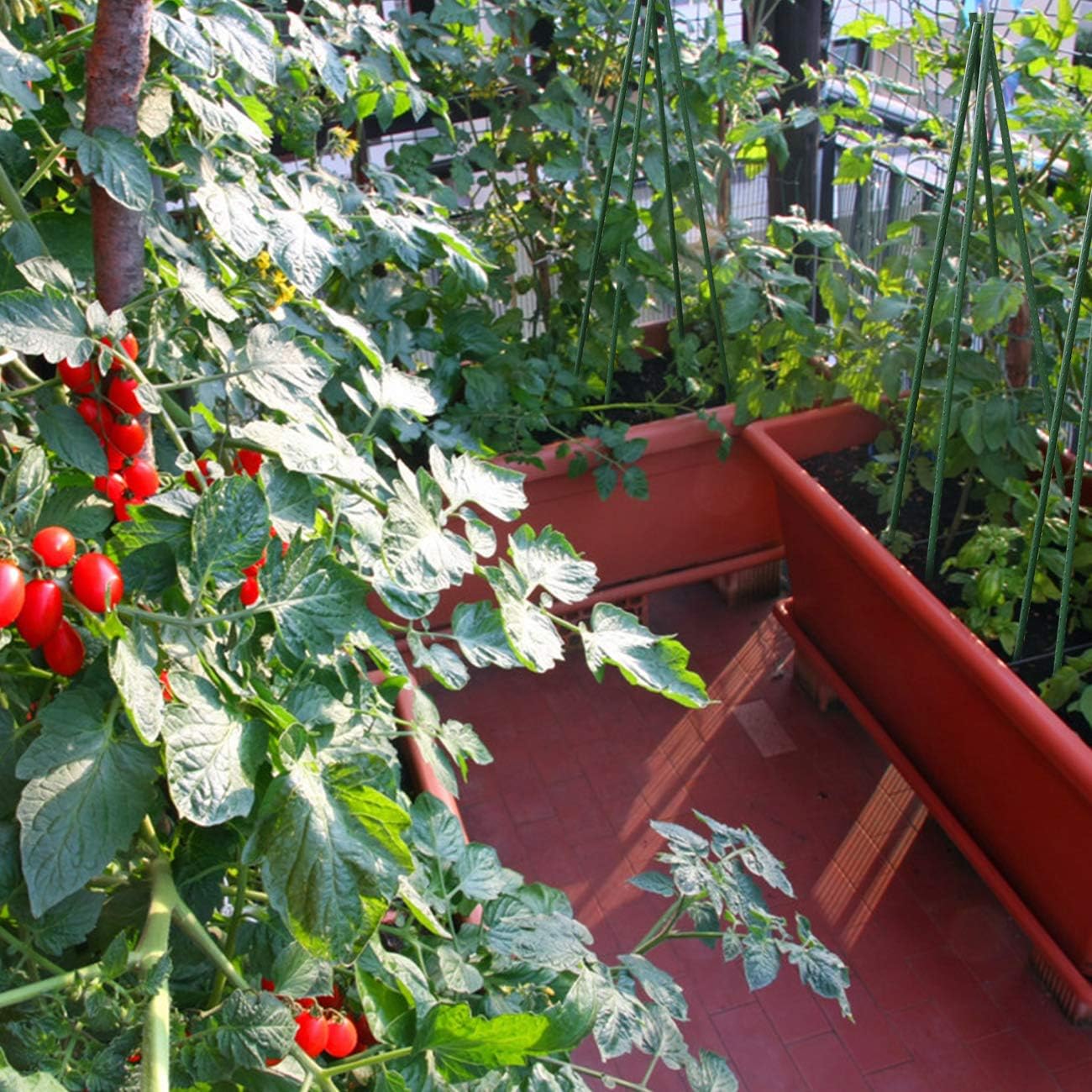 Plant Supports Stakes