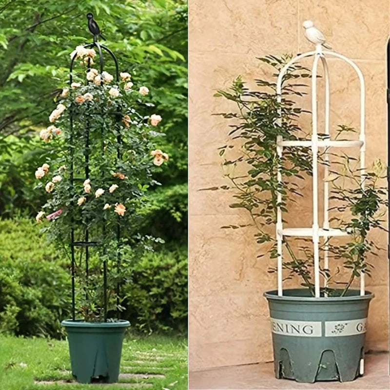 Plant Trellis for Pots Black and White