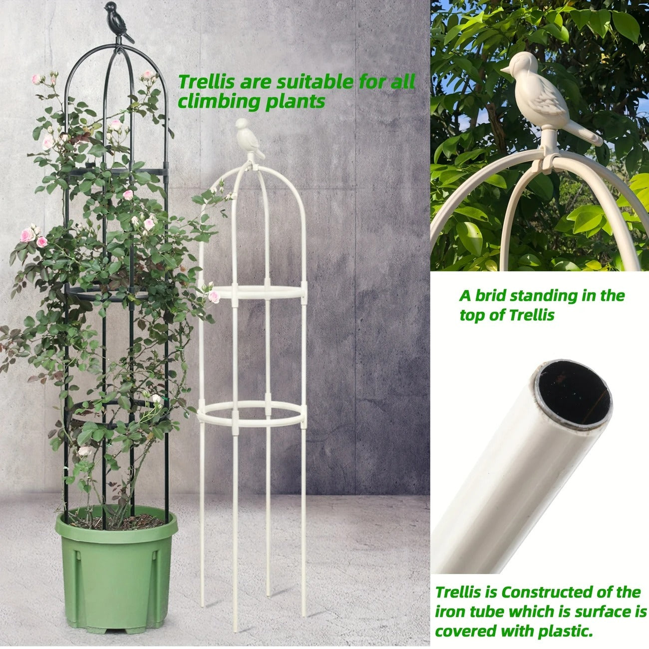 Plant Trellis for Pots Black and White