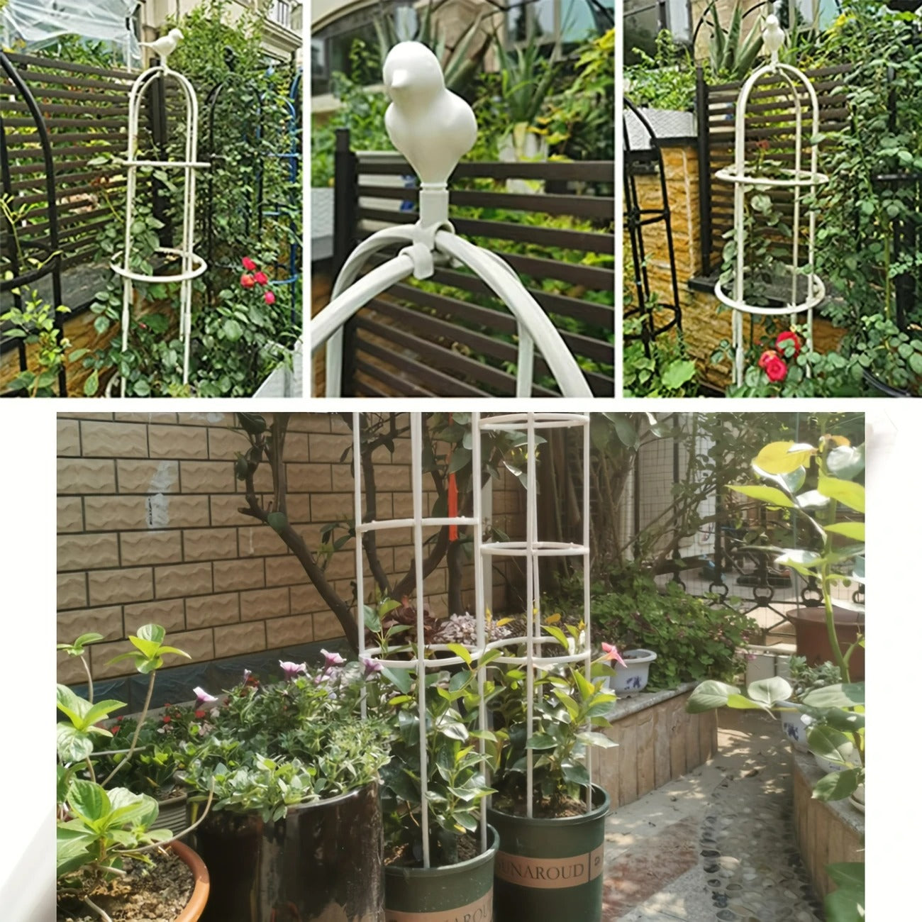 Plant Trellis for Pots Black and White