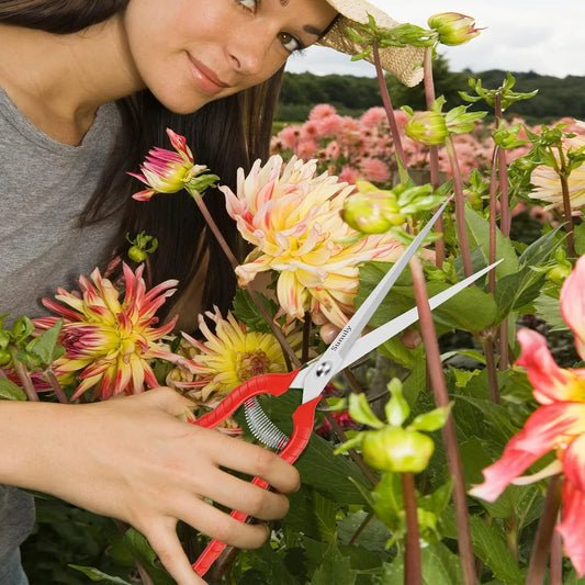 Long Pruning Shears