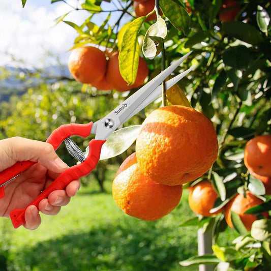 Long Pruning Shears