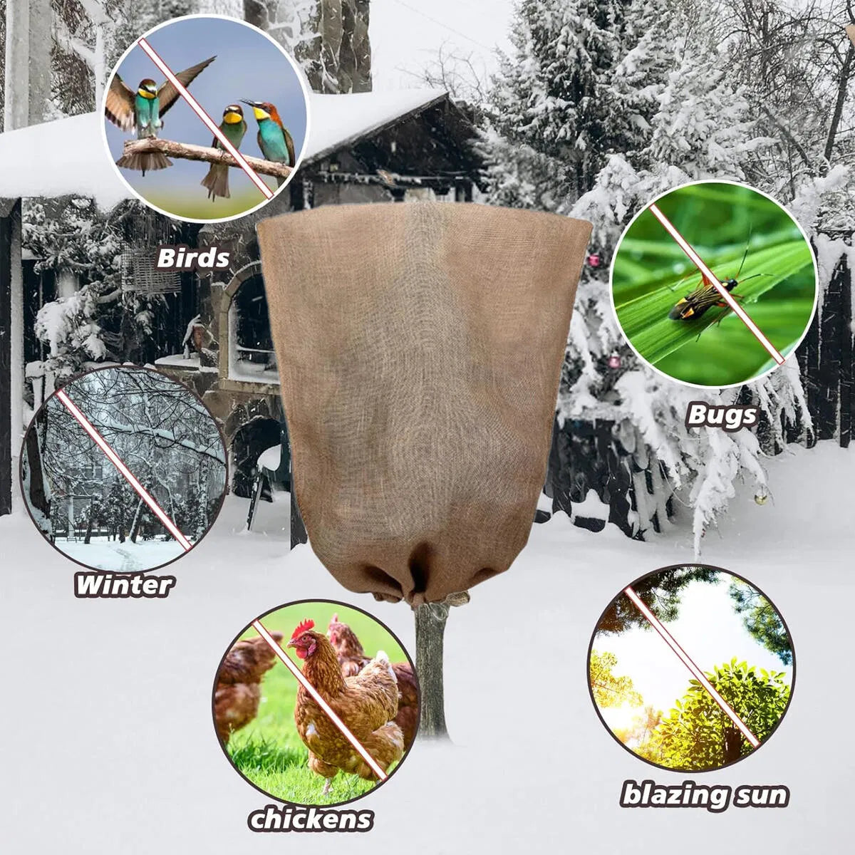 Frost Cloth for Plants