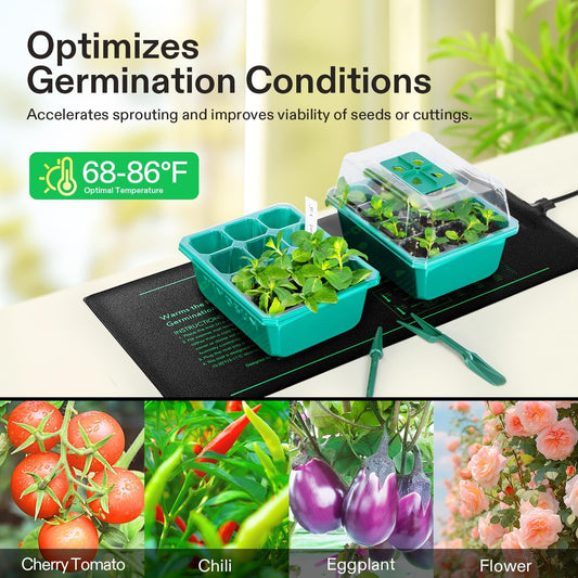 6 Pack Seedling Trays with Dome