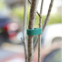 10Pcs 16 Ft / 20 Pcs 39.4 Inches Soft Plant Ties