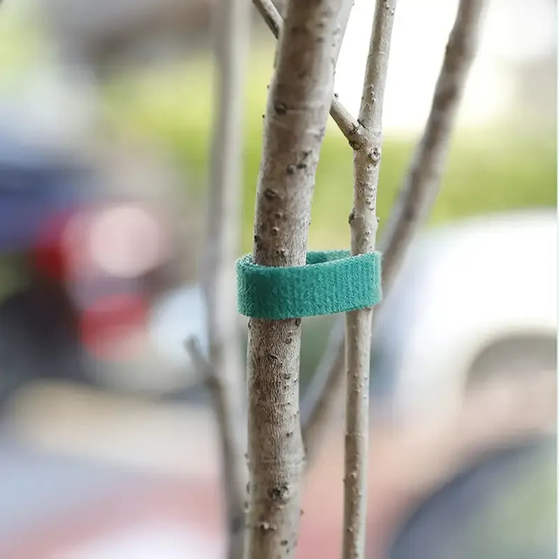 10Pcs 16 Ft / 20 Pcs 39.4 Inches Soft Plant Ties