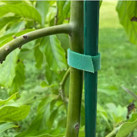 10Pcs 16 Ft / 20 Pcs 39.4 Inches Soft Plant Ties