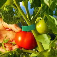 10Pcs 16 Ft / 20 Pcs 39.4 Inches Soft Plant Ties