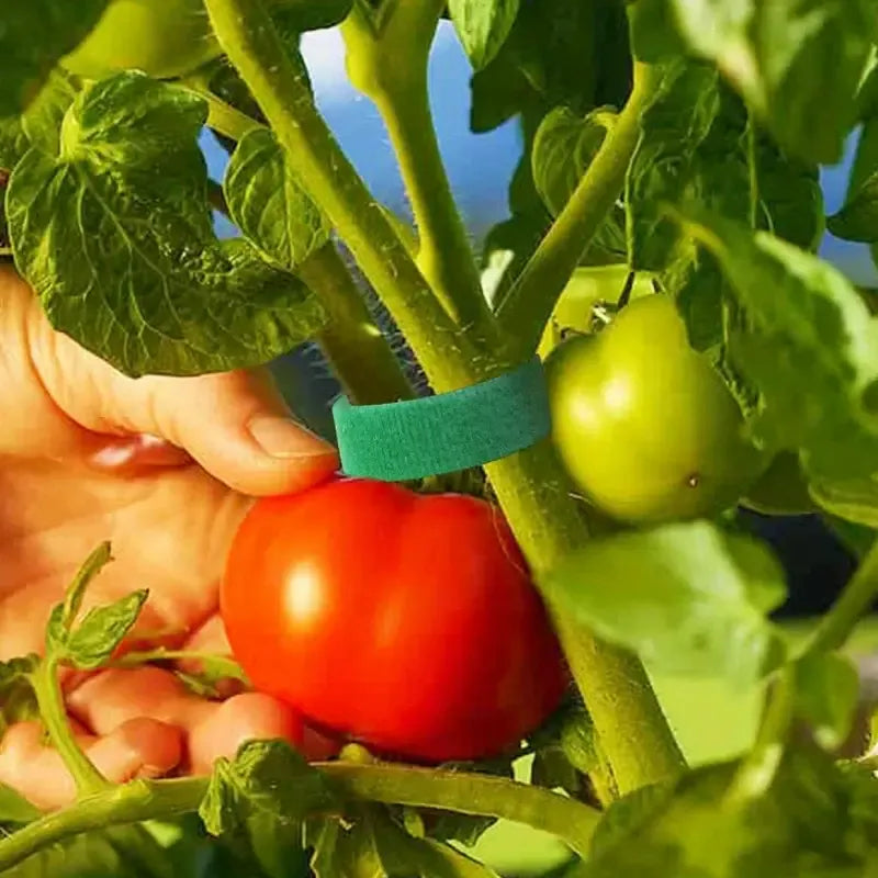 10Pcs 16 Ft / 20 Pcs 39.4 Inches Soft Plant Ties