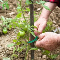 10Pcs 16 Ft / 20 Pcs 39.4 Inches Soft Plant Ties