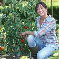 10Pcs 16 Ft / 20 Pcs 39.4 Inches Soft Plant Ties