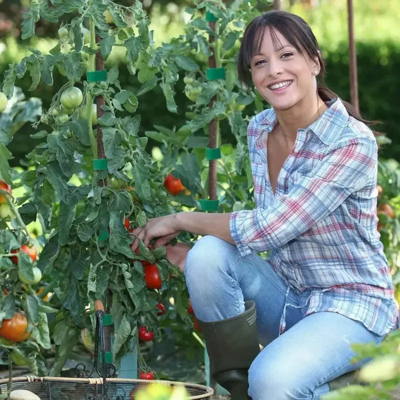 10Pcs 16 Ft / 20 Pcs 39.4 Inches Soft Plant Ties