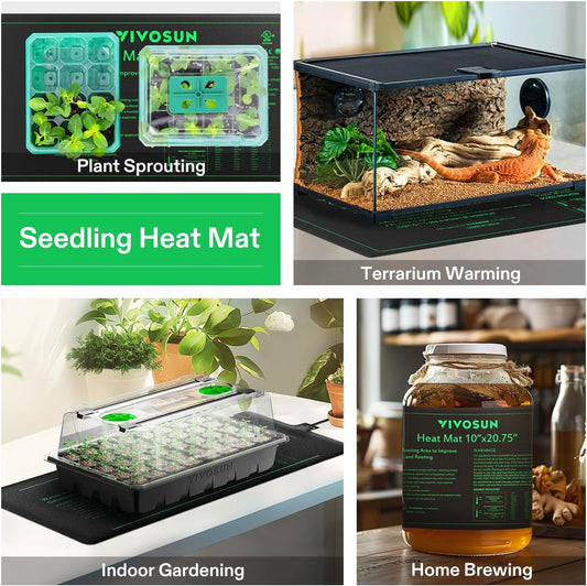 6 Pack Seedling Trays with Dome