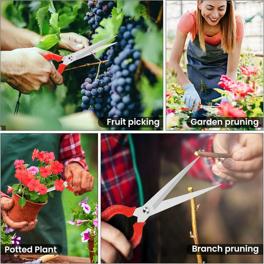 Long Pruning Shears