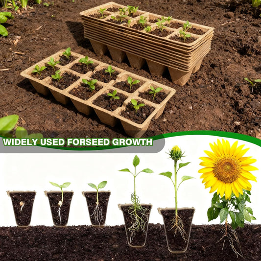 Seed Trays