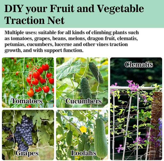Trellis Netting