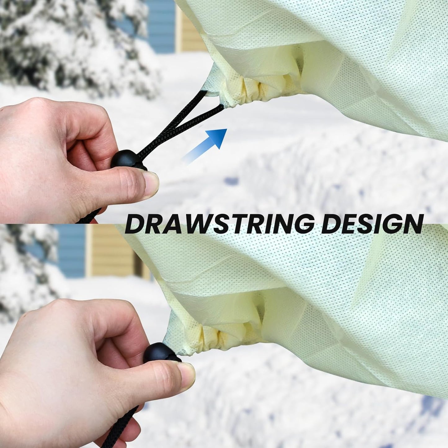 Winter Cover for Plants