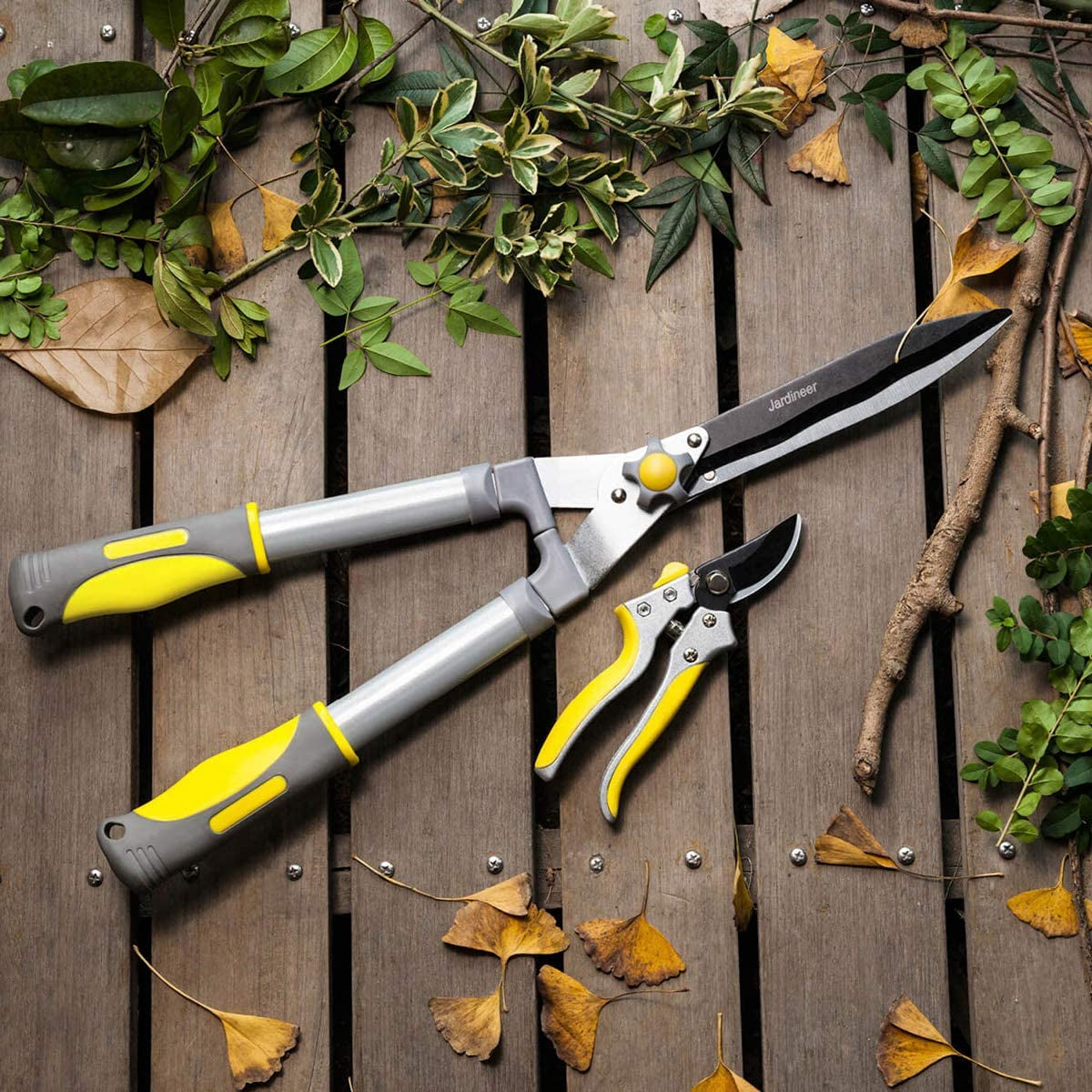 Hedge Shears