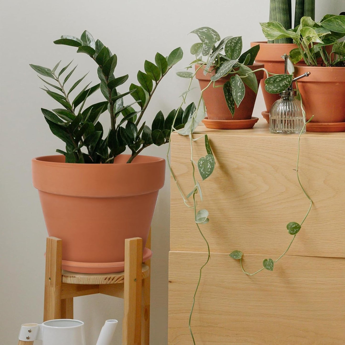 Huge Terracotta Plant Pots