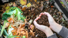 How to Make Compost: Easy Composting Guide