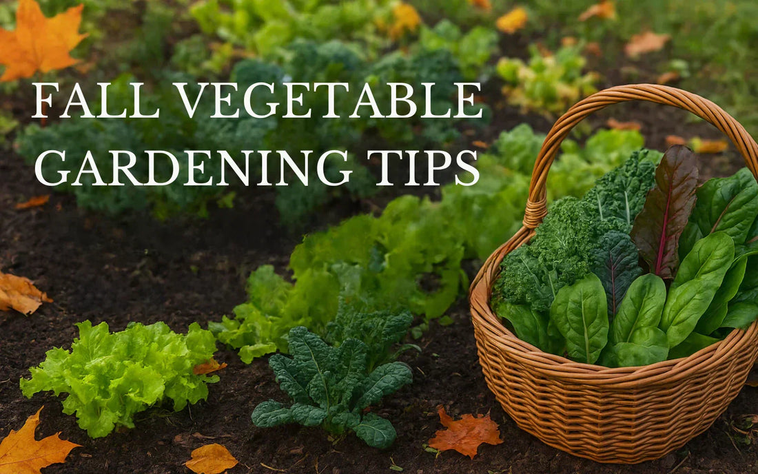 Fall Vegetable Gardening Tips