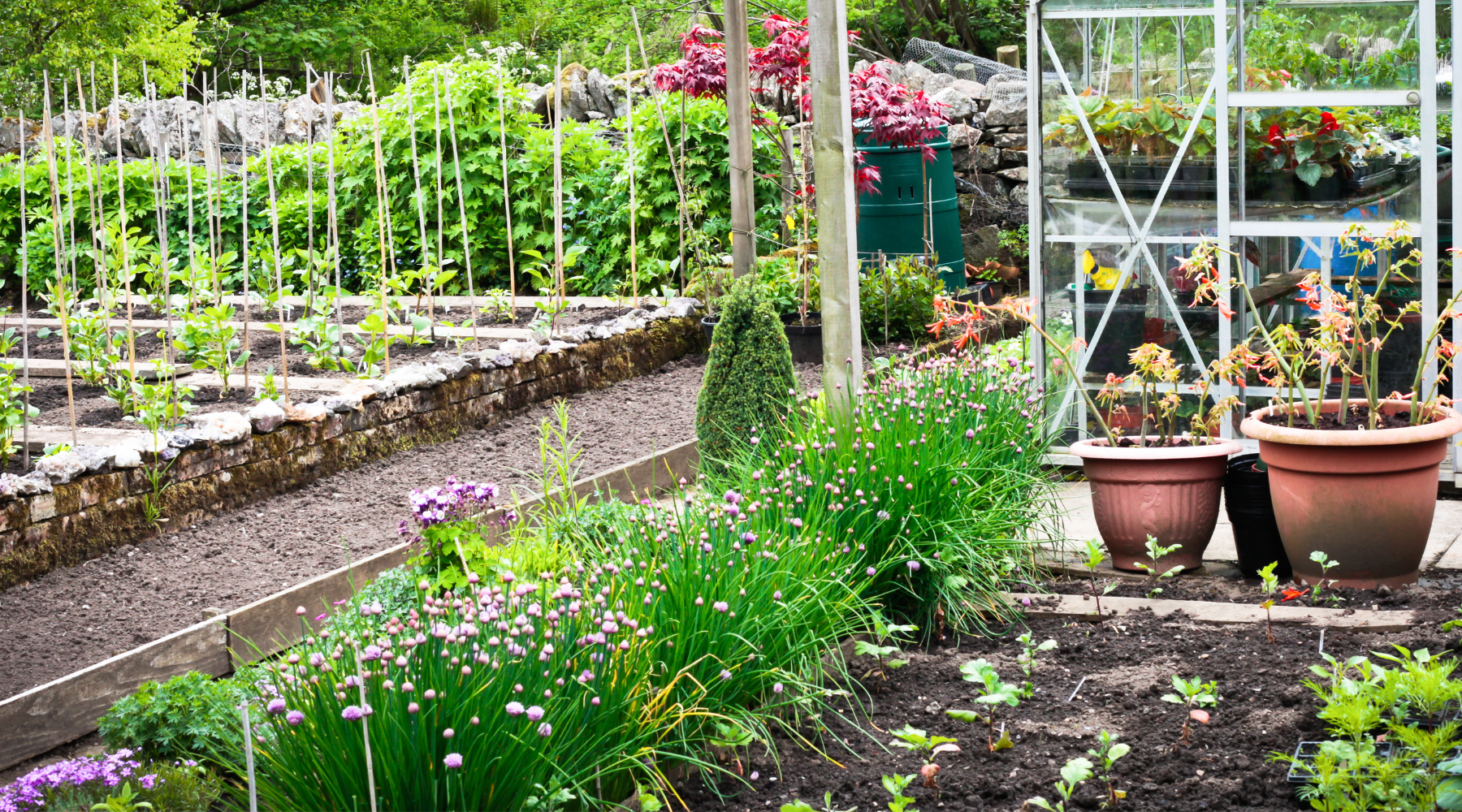 design your vegetable garden online free
