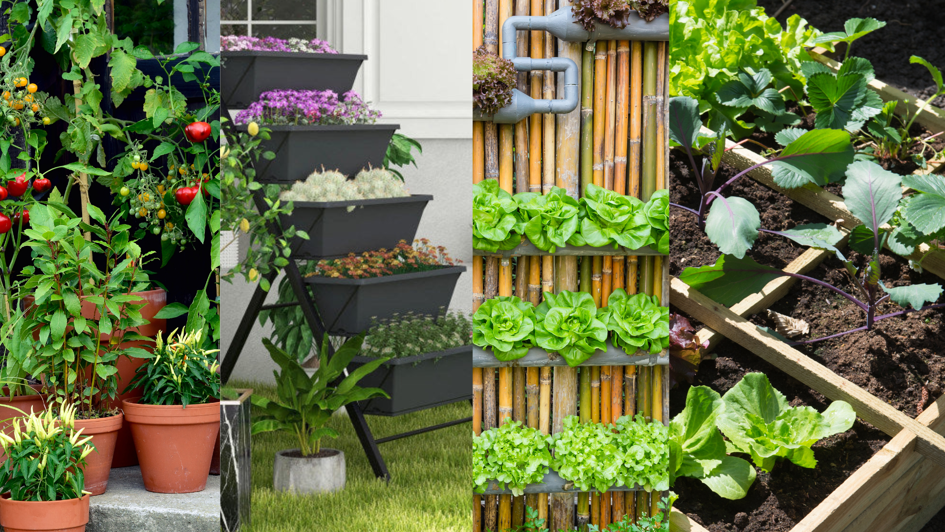 20 Gardening Techniques to Choose From to Maximize Your Space