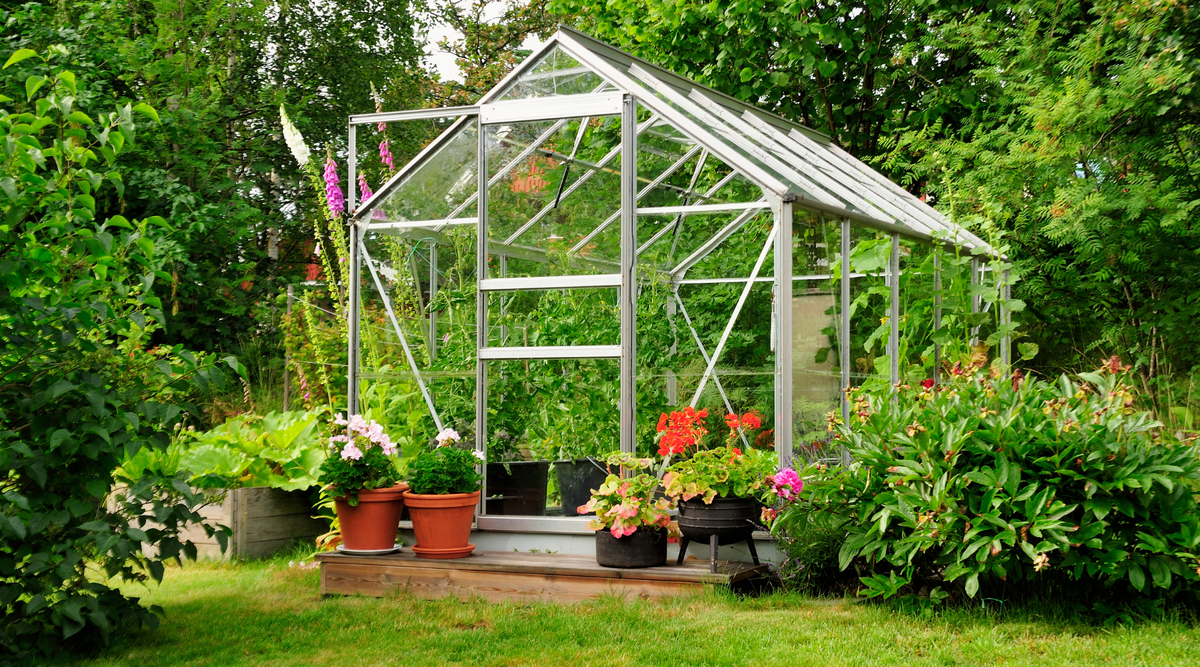 How to Choose the Best Greenhouses for BeginnersHardy Garden
