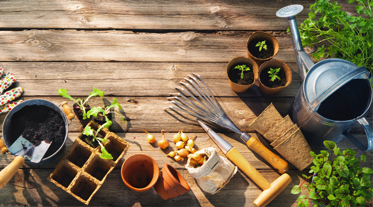 Essential Greenhouse Gardening Tools and Supplies Hardy Garden