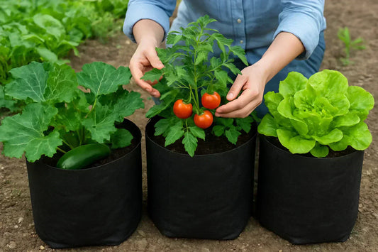 How to Get Bigger Harvests by Growing Vegetables in Grow Bags