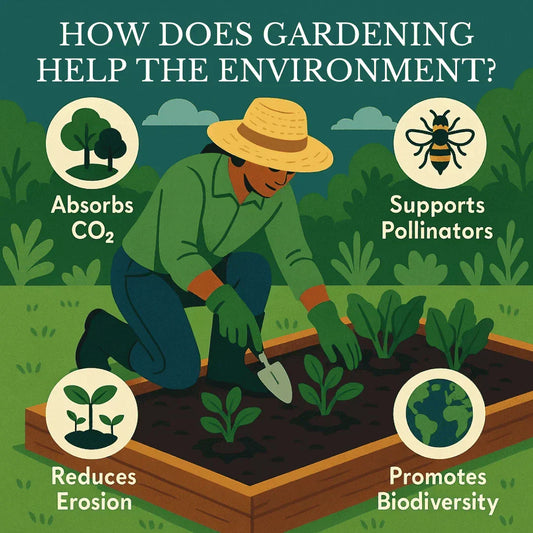 How Does Gardening Help the Environment