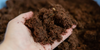 How To Choose The Best Organic Fertilizer