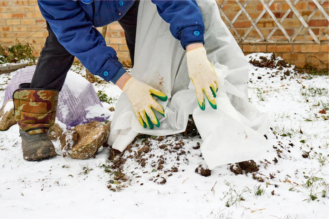 How to Cover Plants for Winter 