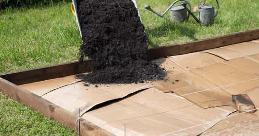 No Digging Gardening