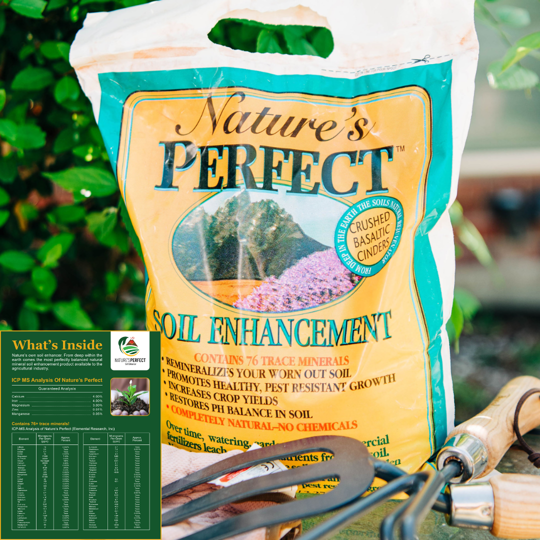 Benefits of Hardy Garden Natures Perfect Organic Soil Enhancer