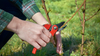 Pruning Tools