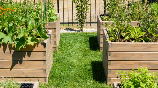 Raised Beds for Gardening