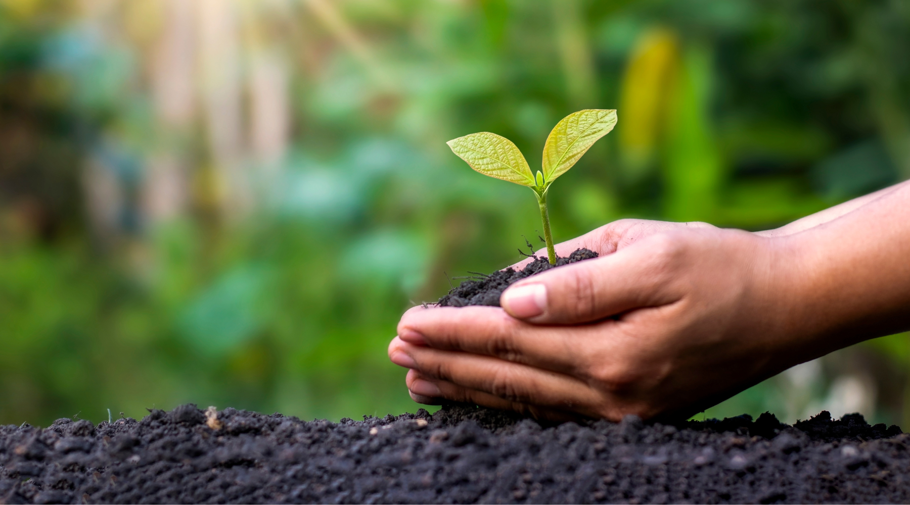 20 Benefits of Using Soil Amendment