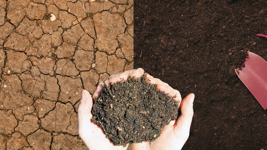 Organic Soil Enhancer