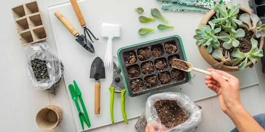  Starting Seeds Indoors 