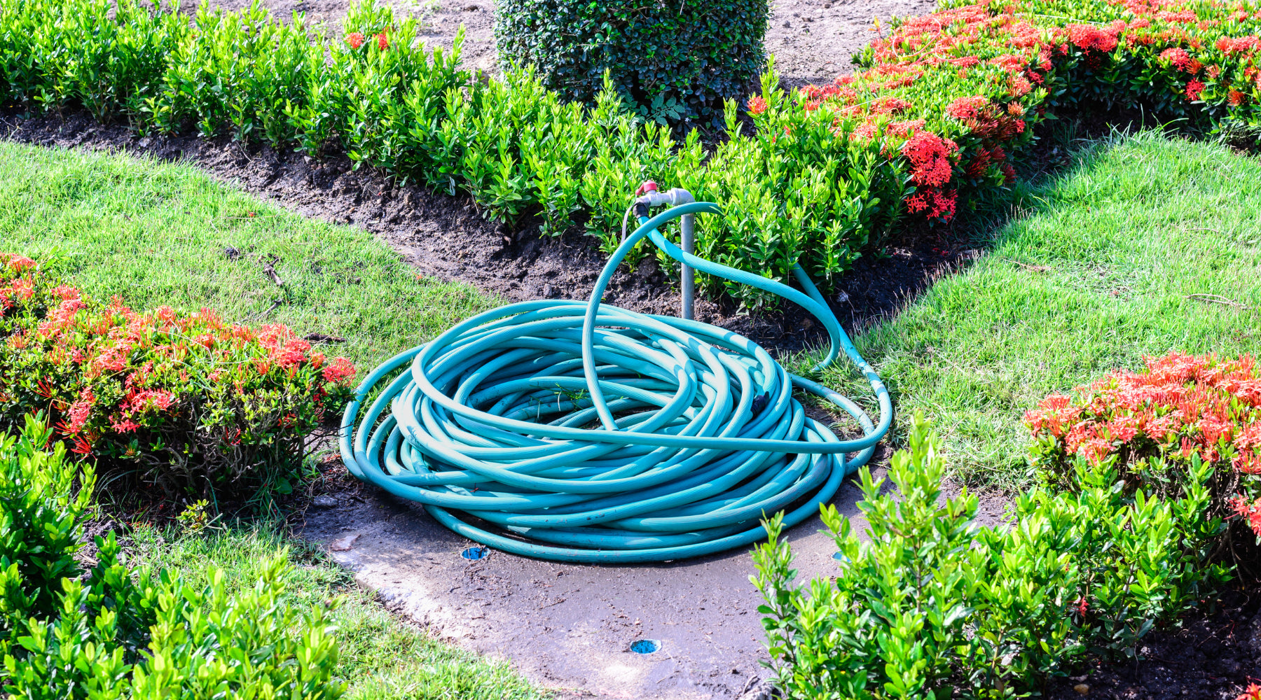 Ultimate Guide to Choosing the Best Garden Hose