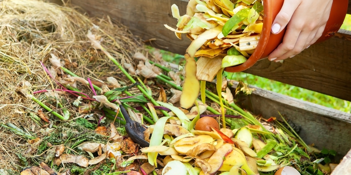 What Is Composting and How to Make Compost at Home