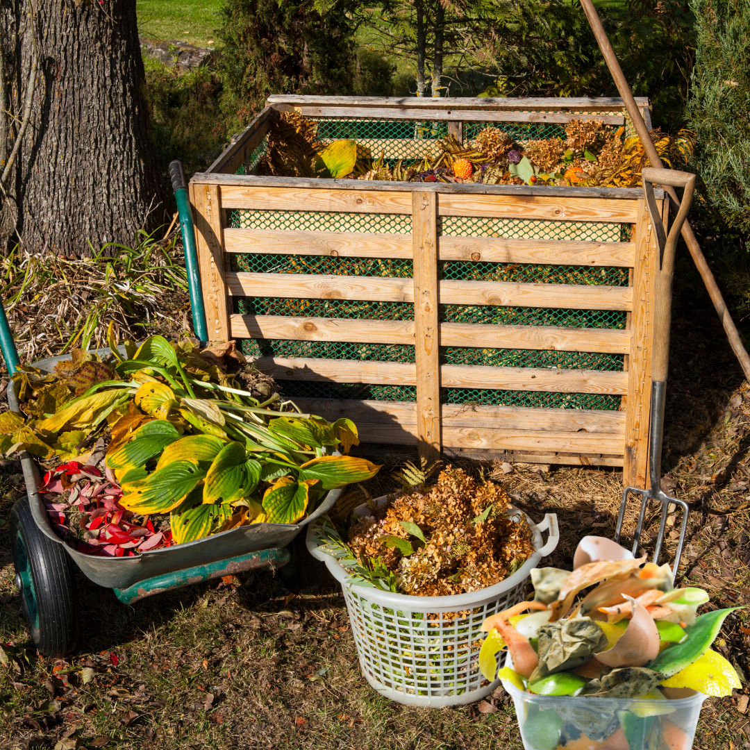 What Is Composting 