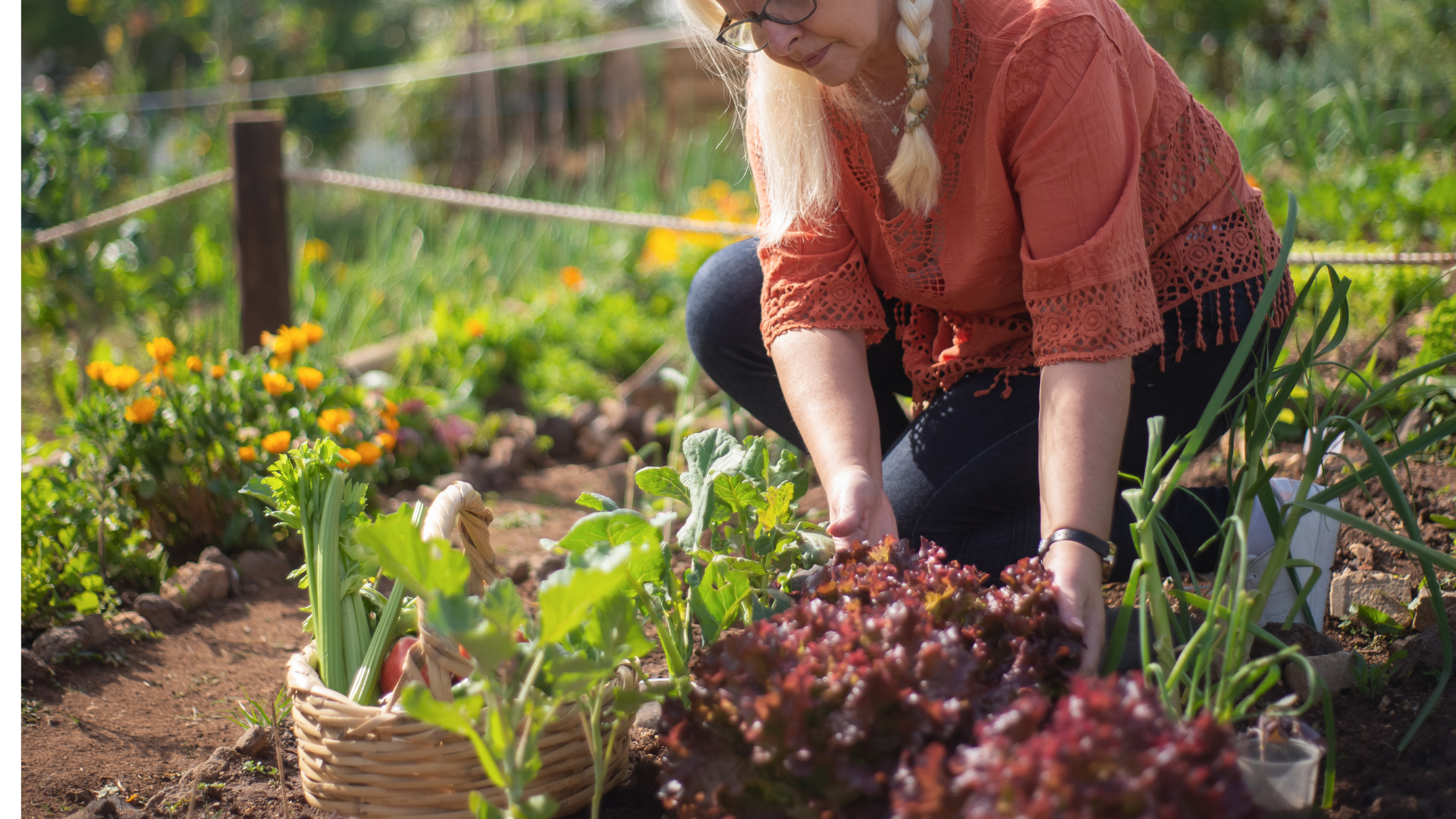 What is Gardening, vegetable garden