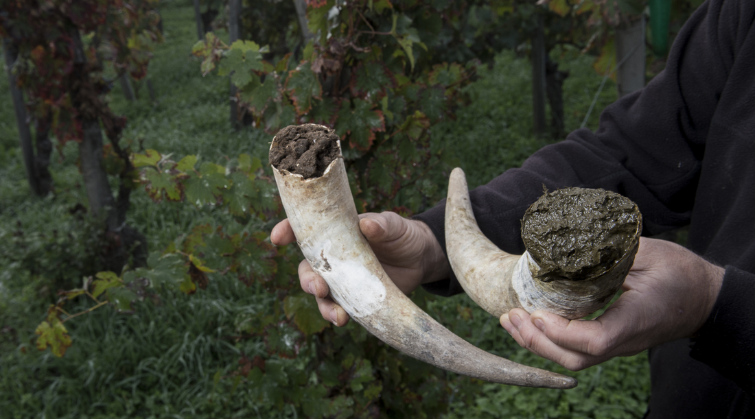 Biodynamic Gardening