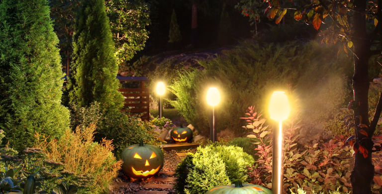 Garden Lights