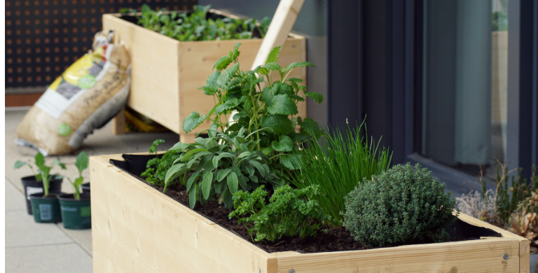 Raised Garden Beds
